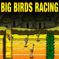 Big Birds Racing