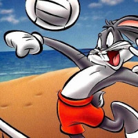 Looney Tunes Cartoons Volleyball